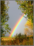 Почему радуга разноцветная
